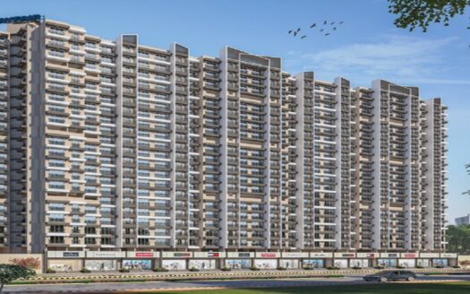 Mayfair Codename Sara Virar