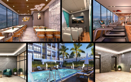 Pin Code Limited Edition