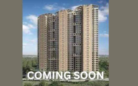 Ace Aristo Coming Soon
