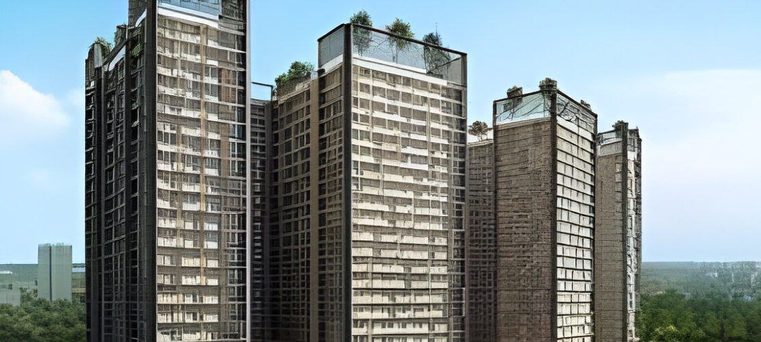 video image