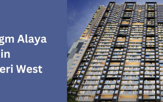 Paradigm Alaya
